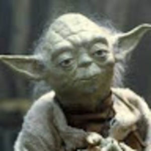 Meet your Posher, Bridget